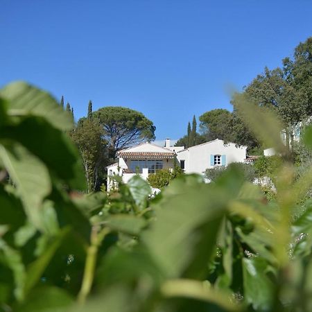 Mas Du Perthus Bed and Breakfast Cassis Buitenkant foto