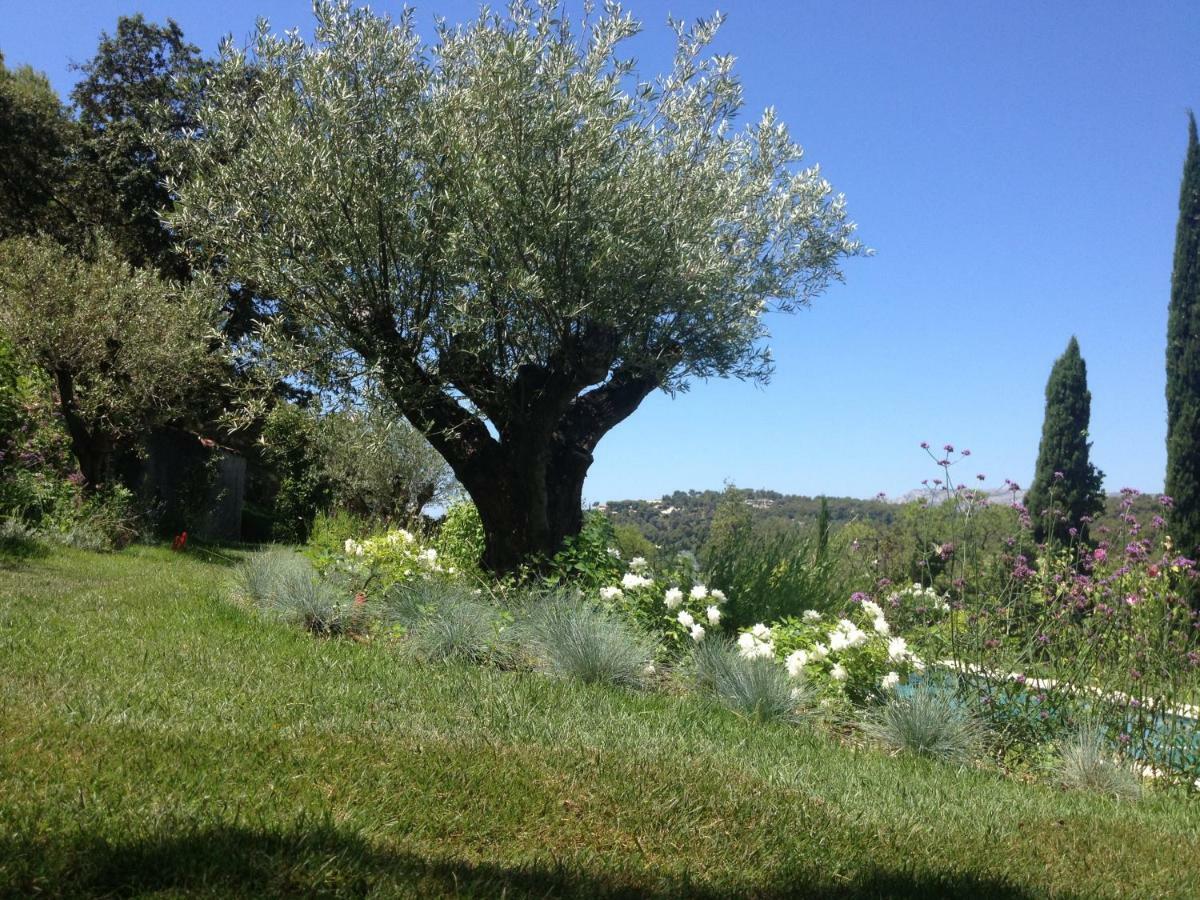Mas Du Perthus Bed and Breakfast Cassis Buitenkant foto