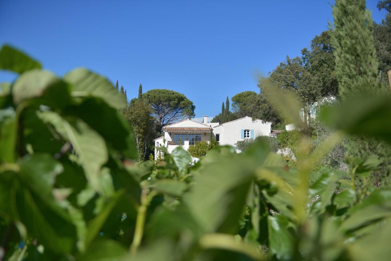 Mas Du Perthus Bed and Breakfast Cassis Buitenkant foto